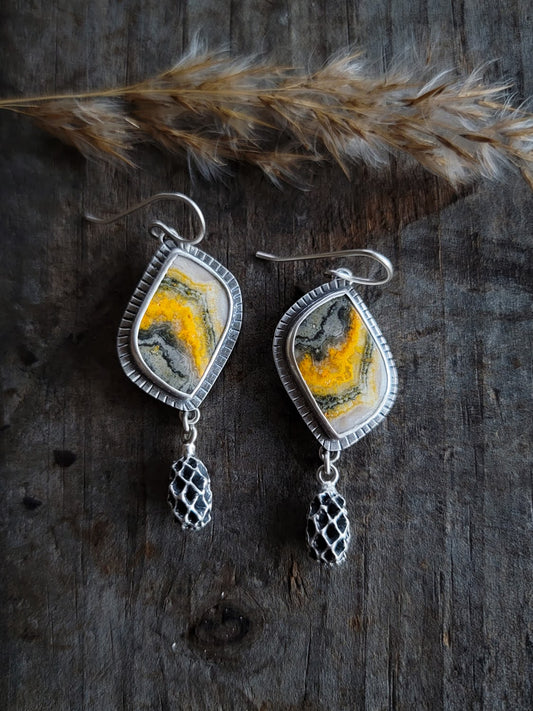 Bumblebee Jasper Iron Wood Pod Earrings