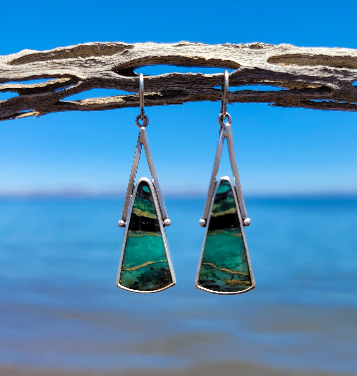 Opalized Wood Earrings