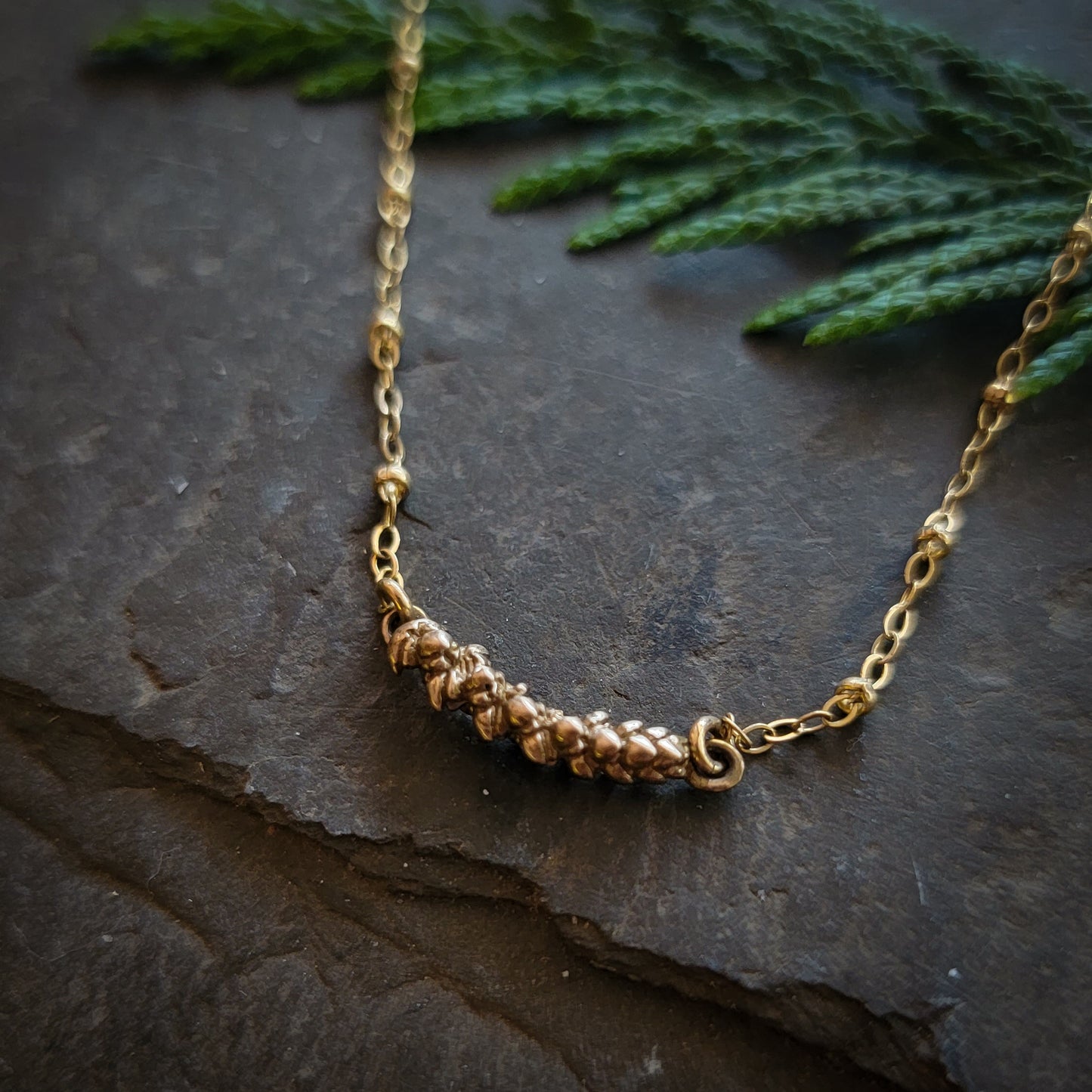 Succulent Pod Bar Necklace    //    Sterling Silver or Bronze & 14K Gold Filled