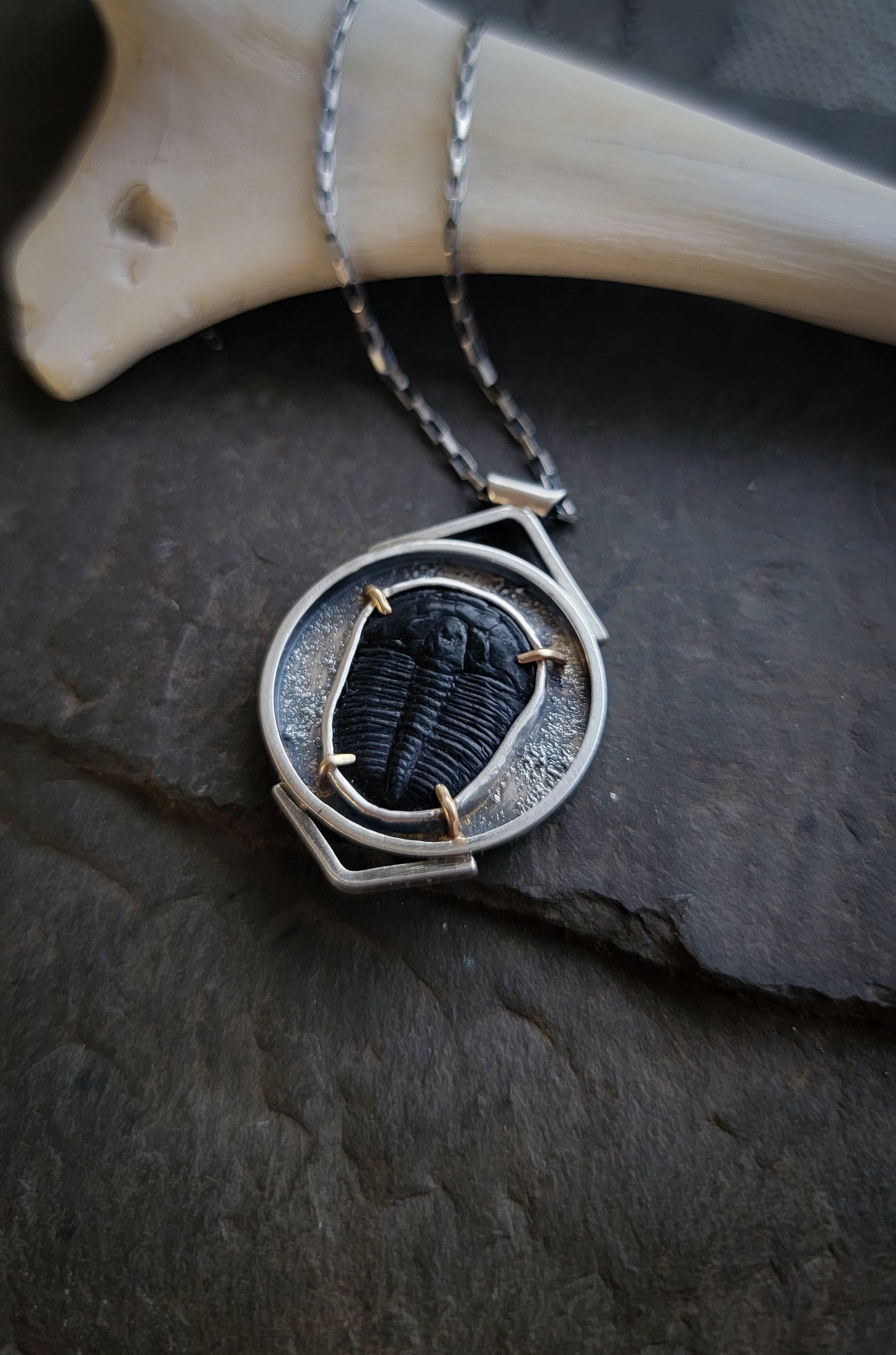 Ancient Artifact Trilobite Necklace