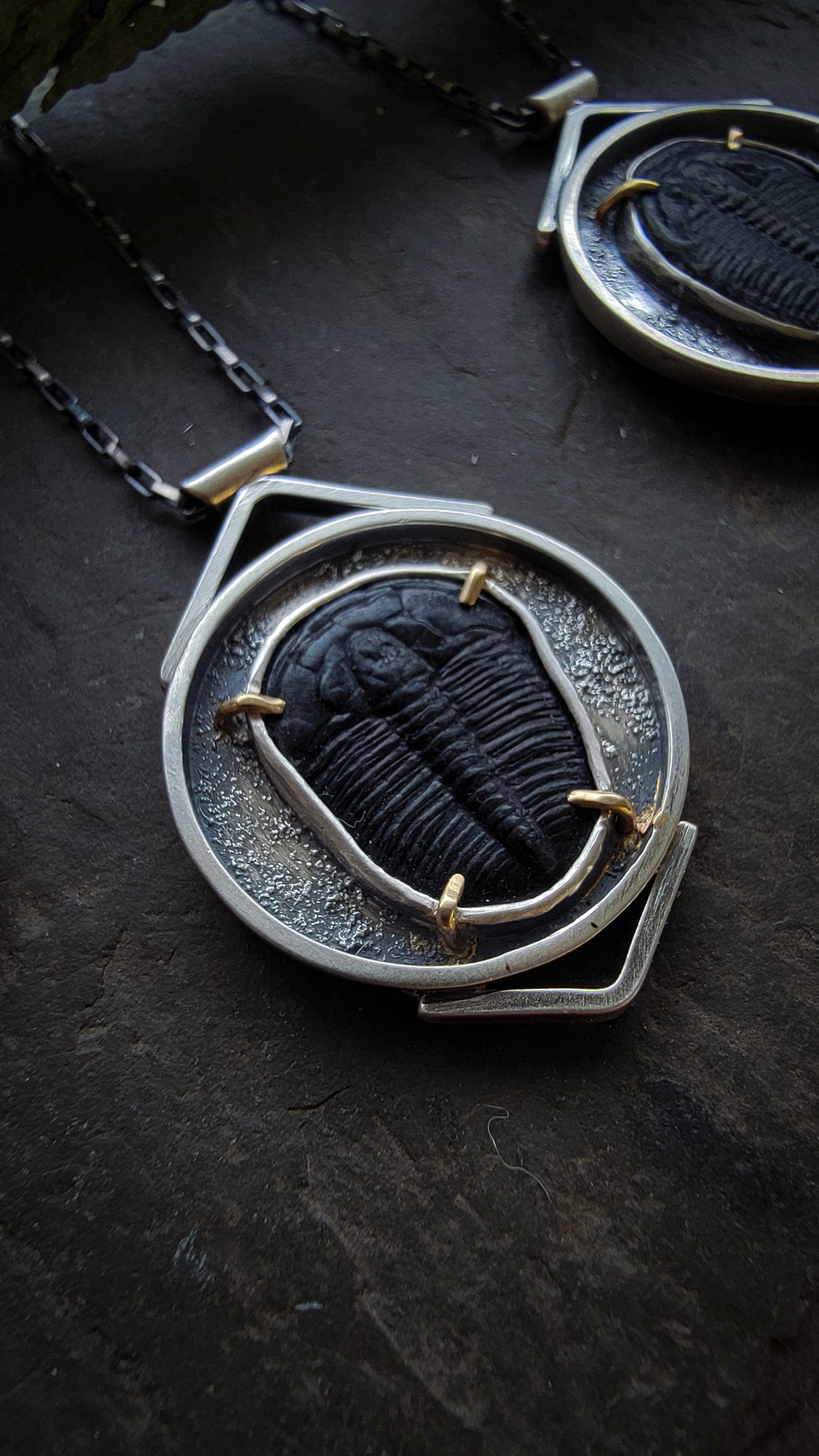 Ancient Artifact Trilobite Necklace